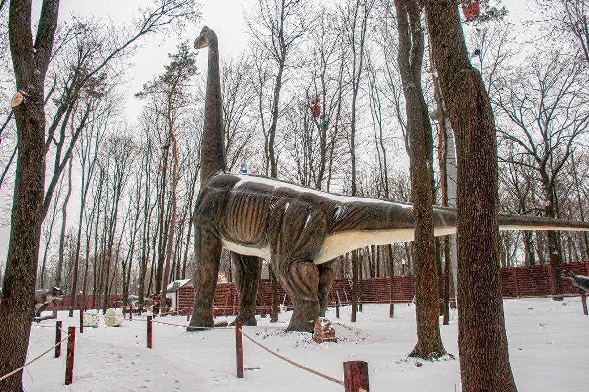 Find en hund i sneen på 10 sekunder / Moje collage